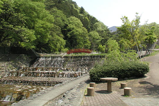 /pref-gifu/gero/g050505/ujo-koenP5052282.JPG 湯のまち雨情公園 の写真(82) 2005年05月05日