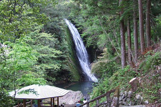 横谷峡 鶏鳴滝 の写真(83) 2008年05月04日