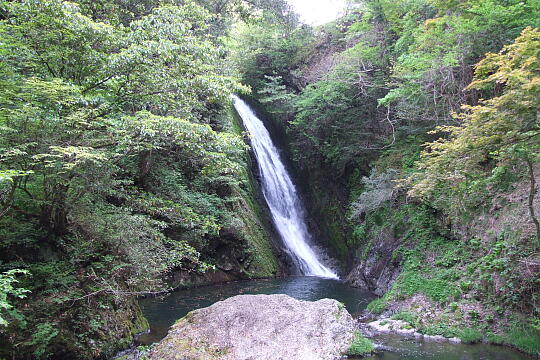 横谷峡 鶏鳴滝 の写真(84) 2008年05月04日