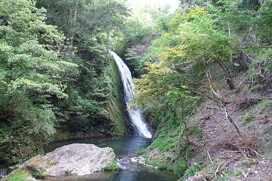 横谷峡 鶏鳴滝 の写真(85) 2008年05月04日
