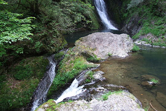 横谷峡 鶏鳴滝 の写真(86) 2008年05月04日