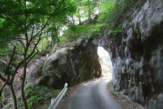 横谷峡 紅葉滝 の写真(81) 2008年05月04日