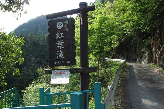 横谷峡 紅葉滝 の写真(82) 2008年05月04日