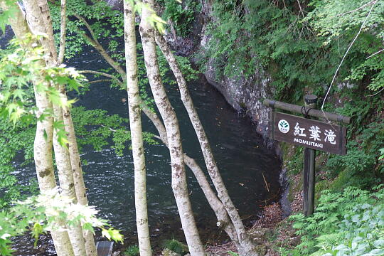 横谷峡 紅葉滝 の写真(83) 2008年05月04日