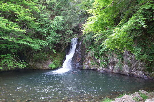 横谷峡 紅葉滝 の写真(84) 2008年05月04日