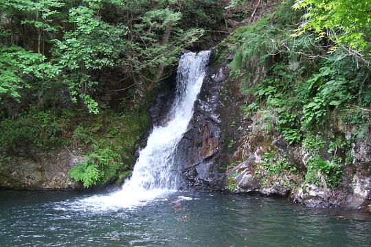 横谷峡 紅葉滝 の写真(85) 2008年05月04日