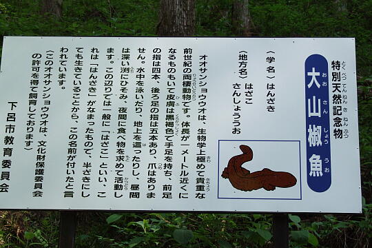横谷峡 白滝 の写真(83) 2008年05月04日