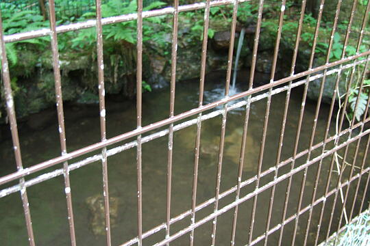 横谷峡 白滝 の写真(84) 2008年05月04日