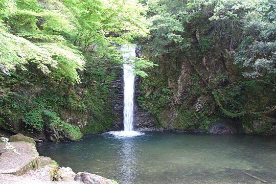 横谷峡 白滝 の写真(85) 2008年05月04日