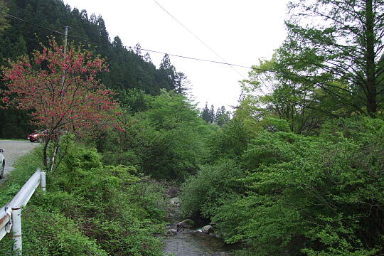 乗政温泉 の写真(84) 2008年05月05日