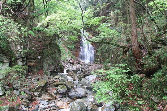 乗政大滝 の写真(82) 2008年05月05日