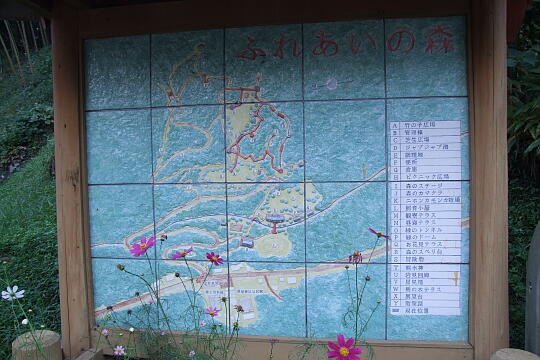 /pref-gifu/geroosaka/g070922/fureainomoriDSCF1347.JPG ふれあいの森 の写真(81) 2007年09月22日