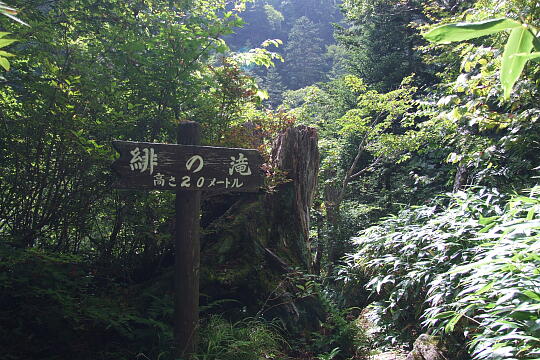 /pref-gifu/geroosaka/g070922/hinotakiDSCF1711.JPG 緋の滝 の写真(82) 2007年09月22日