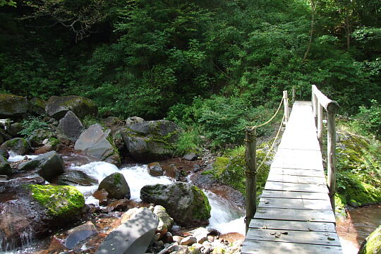 /pref-gifu/geroosaka/g070922/sennintakiDSCF1682.JPG 仙人滝 の写真(87) 2007年09月22日