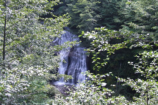/pref-gifu/geroosaka/g070922/shiraitotakiDSCF1628.JPG 白糸滝 の写真(81) 2007年09月22日