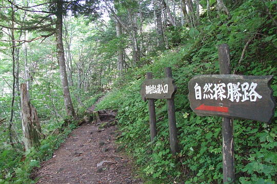 /pref-gifu/geroosaka/g070922/tozando-iriguchiDSCF1685.JPG 登山道入口 の写真(82) 2007年09月22日