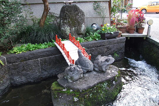 /pref-gifu/gujo/g061104/kitamachi-yosuiDSCF3741.JPG 職人町 北町用水 の写真(81) 2006年11月04日