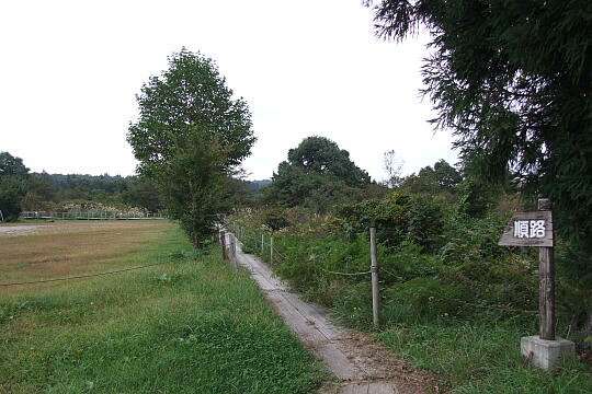 /pref-gifu/gujokogai/g071007/ayamesawaDSCF4482.JPG 水芭蕉のあやめ沢湿原(秋) の写真(82) 2007年10月07日