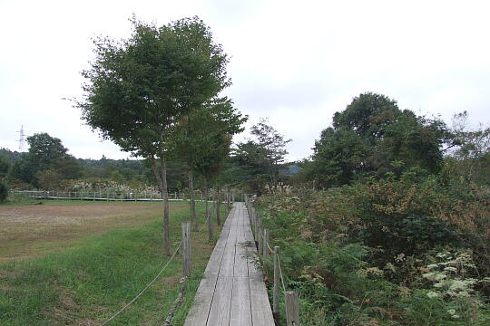 /pref-gifu/gujokogai/g071007/ayamesawaDSCF4484.JPG 水芭蕉のあやめ沢湿原(秋) の写真(83) 2007年10月07日