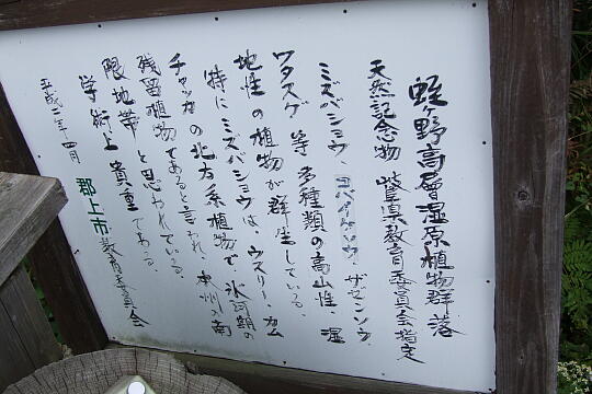/pref-gifu/gujokogai/g071007/ayamesawaDSCF4486.JPG 水芭蕉のあやめ沢湿原(秋) の写真(84) 2007年10月07日