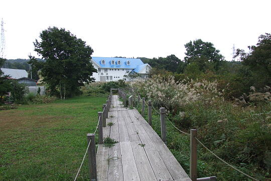 /pref-gifu/gujokogai/g071007/ayamesawaDSCF4488.JPG 水芭蕉のあやめ沢湿原(秋) の写真(85) 2007年10月07日