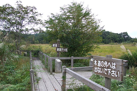 /pref-gifu/gujokogai/g071007/ayamesawaDSCF4497.JPG 水芭蕉のあやめ沢湿原(秋) の写真(86) 2007年10月07日