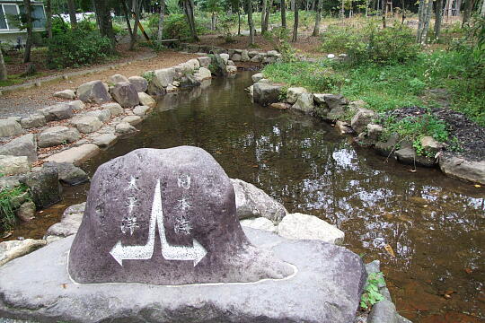 分水嶺公園 の写真(81) 2007年10月07日