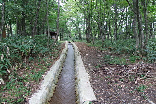 分水嶺公園 の写真(82) 2007年10月07日