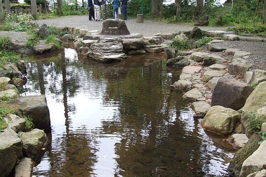 分水嶺公園 の写真(86) 2007年10月07日