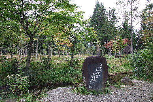 分水嶺公園 の写真(88) 2007年10月07日