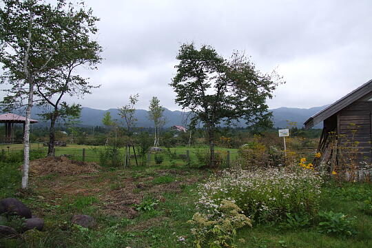 /pref-gifu/gujokogai/g071007/hirugano-shokubutsuenDSCF4536.JPG ひるがの湿原植物園 の写真(82) 2007年10月07日