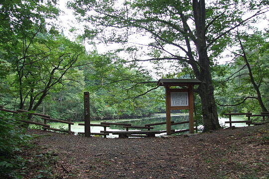 村間ヶ池 の写真(83) 2007年10月07日