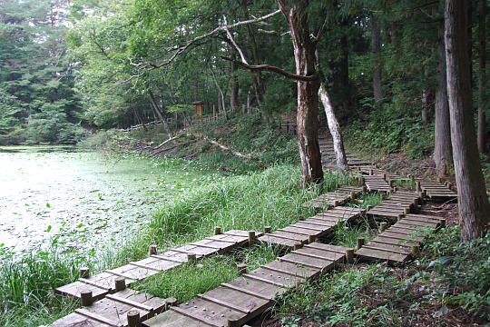 村間ヶ池 の写真(86) 2007年10月07日
