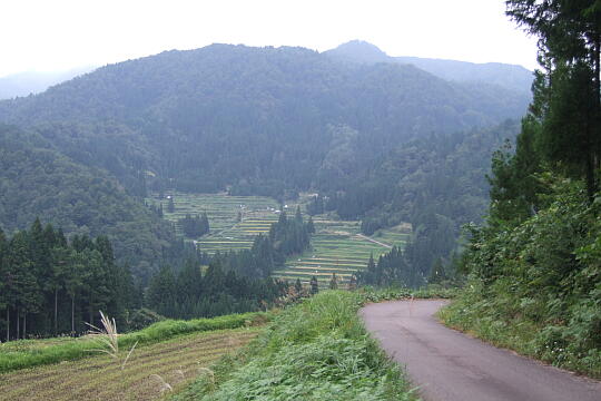 /pref-gifu/gujokogai/g071007/tanada-tenboDSCF5024.JPG 正ヶ洞の棚田 展望地 の写真(81) 2007年10月07日
