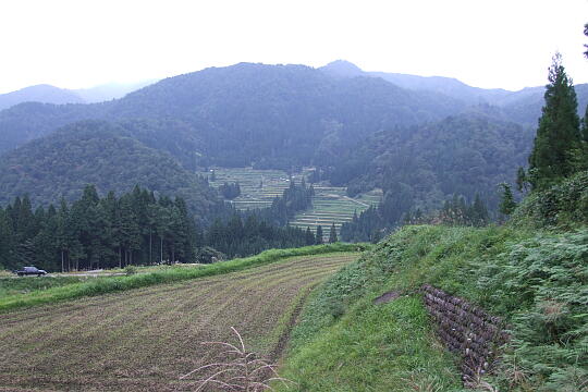 /pref-gifu/gujokogai/g071007/tanada-tenboDSCF5025.JPG 正ヶ洞の棚田 展望地 の写真(82) 2007年10月07日