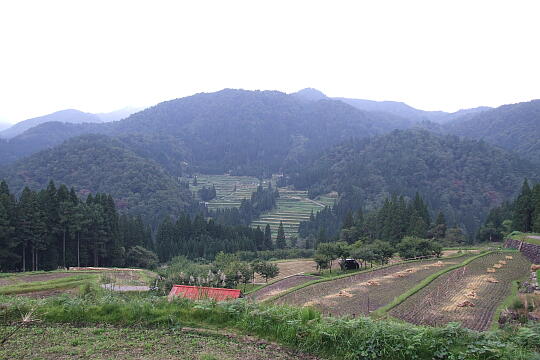 /pref-gifu/gujokogai/g071007/tanada-tenboDSCF5029.JPG 正ヶ洞の棚田 展望地 の写真(83) 2007年10月07日