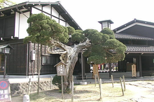 /pref-gifu/hida/g050505/takumi-bunkakanP5052444.JPG 飛騨の匠文化館 の写真(81) 2005年05月05日