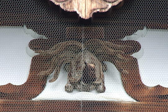 円光寺 の写真(87) 2007年09月23日