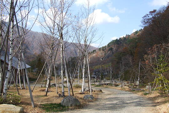 /pref-gifu/okuhida/g061103/hirayu-otakikoenDSCF3370.JPG 奥飛騨平湯大滝公園 の写真(81) 2006年11月03日