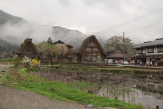 白川郷合掌集落（１） の写真(84) 2005年04月29日