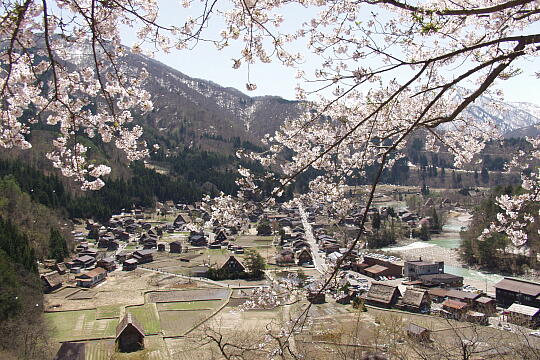 萩町展望台 の写真(81) 2006年05月03日
