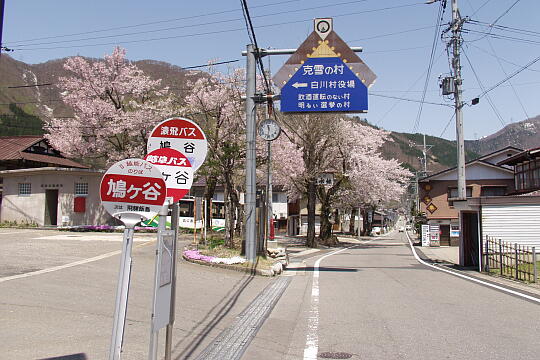 /pref-gifu/shirakawa/g060503/hatogaya-busP5036030.JPG 鳩谷(鳩ヶ谷)バス停 の写真(81) 2006年05月03日