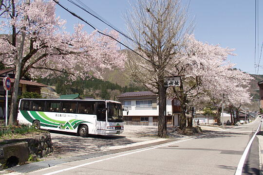 /pref-gifu/shirakawa/g060503/hatogaya-busP5036036.JPG 鳩谷(鳩ヶ谷)バス停 の写真(82) 2006年05月03日