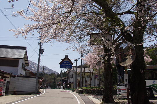 /pref-gifu/shirakawa/g060503/hatogaya-busP5036038.JPG 鳩谷(鳩ヶ谷)バス停 の写真(83) 2006年05月03日