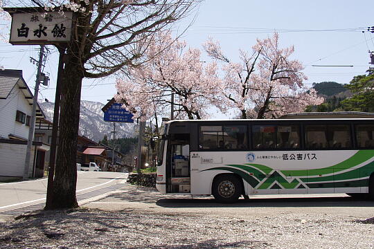 /pref-gifu/shirakawa/g060503/hatogaya-busP5036039.JPG 鳩谷(鳩ヶ谷)バス停 の写真(84) 2006年05月03日