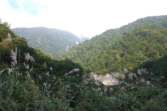 岐阜県道451号線（２） の写真(87) 2007年10月07日