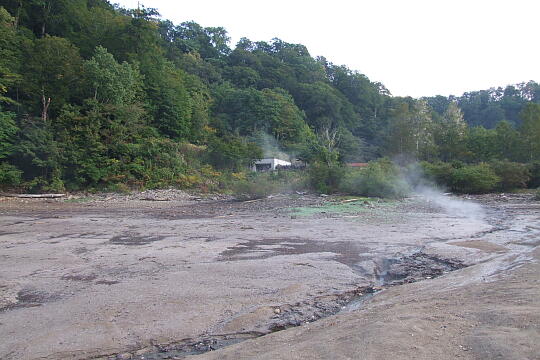 /pref-gifu/shirakawa/g071007/oshirakawa-rotenburoDSCF4103.JPG 大白川露天風呂 の写真(83) 2007年10月07日