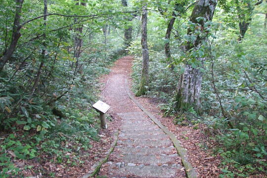 白水の滝 の写真(83) 2007年10月07日