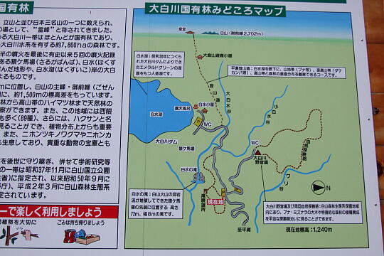 白水の滝 の写真(82) 2007年10月07日