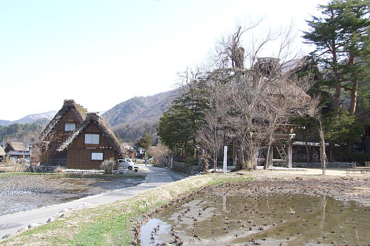 白川郷合掌集落（１） の写真(89) 2009年03月21日